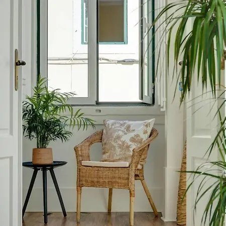 Unique Sao Bento Ideal For A Group Appartement *