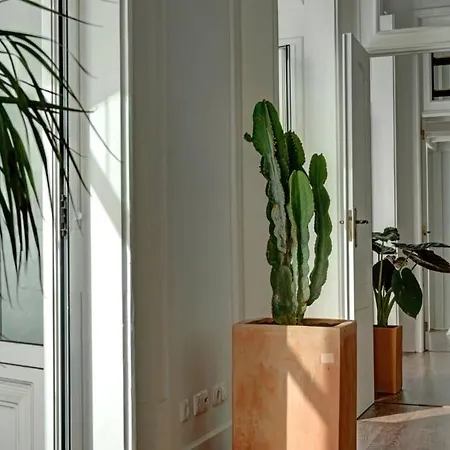 Unique Sao Bento Ideal For A Group リスボン