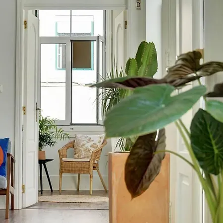 Apartment Unique Sao Bento Ideal For A Group Lissabon
